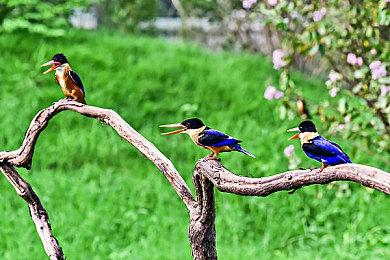 《堕落之主》媒体赞誉图公布 游戏永远不会采用D加密